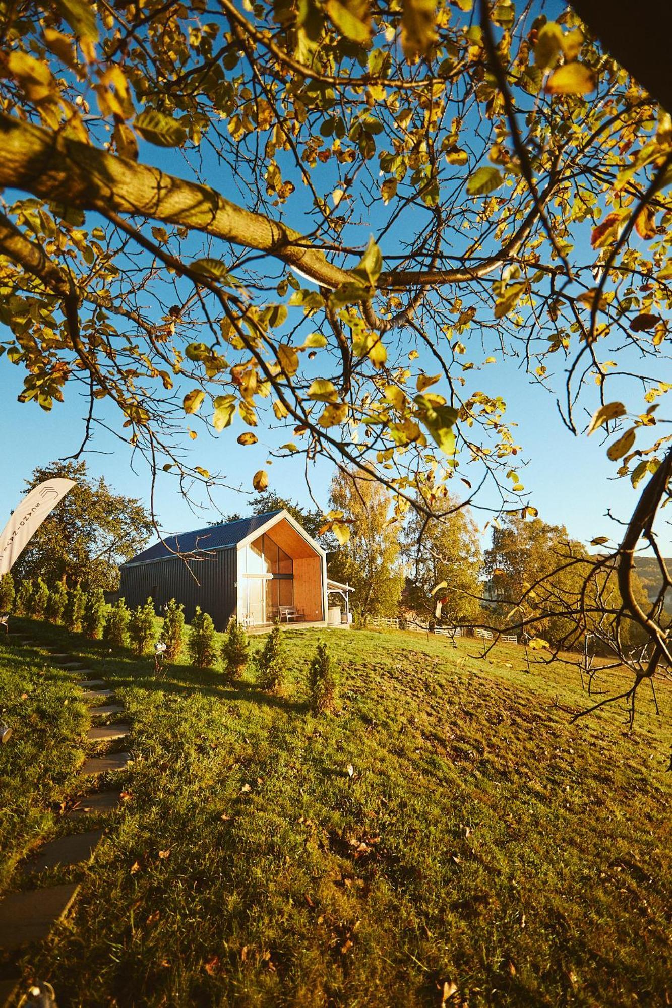 Scandinave Chalet Bran Zărneşti 외부 사진
