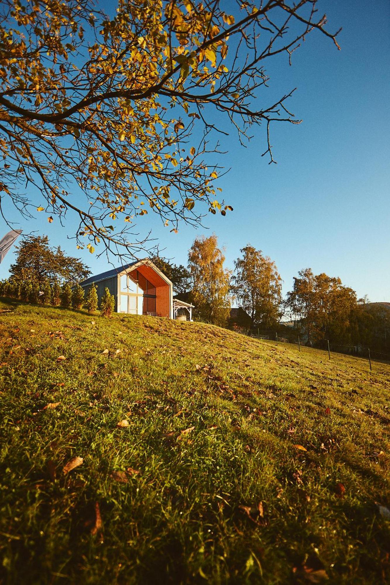 Scandinave Chalet Bran Zărneşti 외부 사진