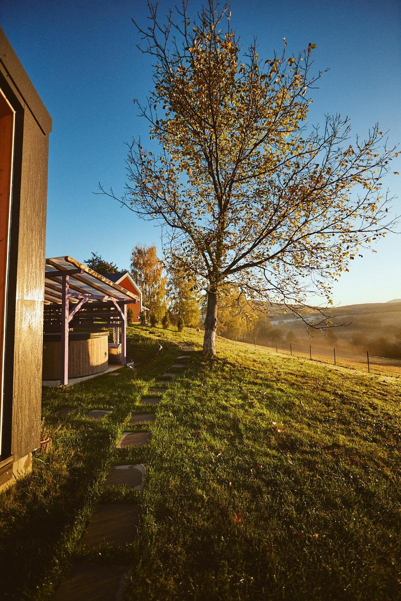 Scandinave Chalet Bran Zărneşti 외부 사진