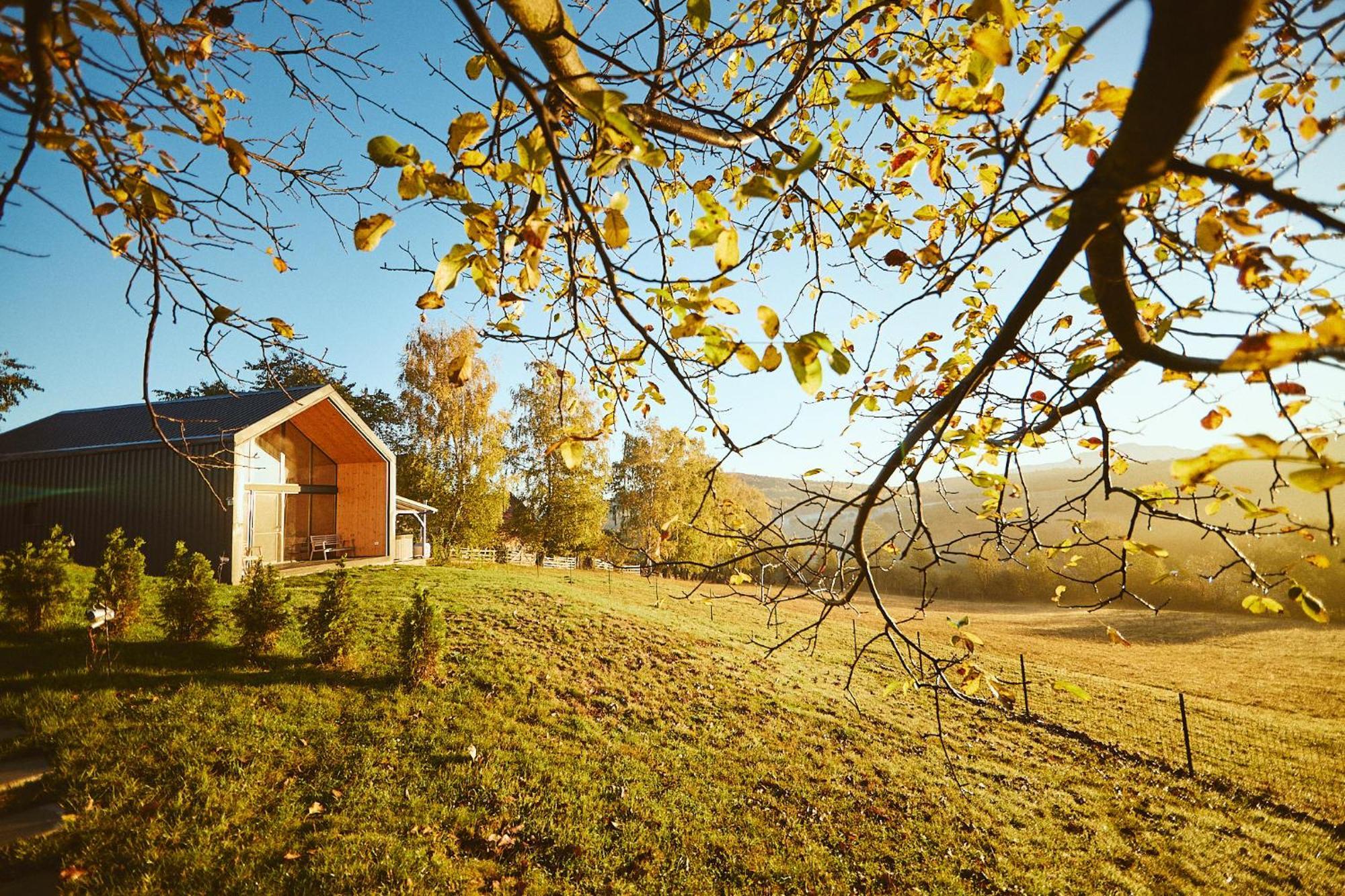 Scandinave Chalet Bran Zărneşti 외부 사진