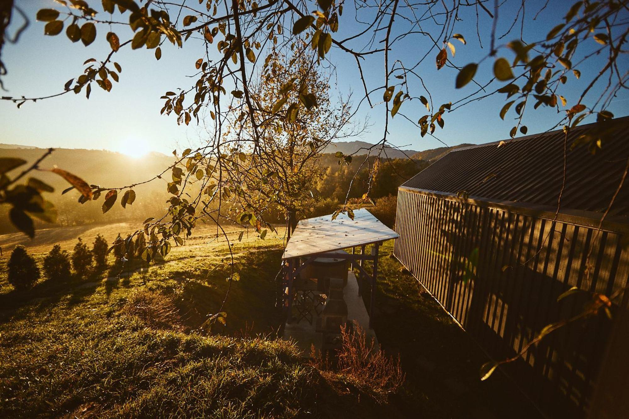 Scandinave Chalet Bran Zărneşti 외부 사진