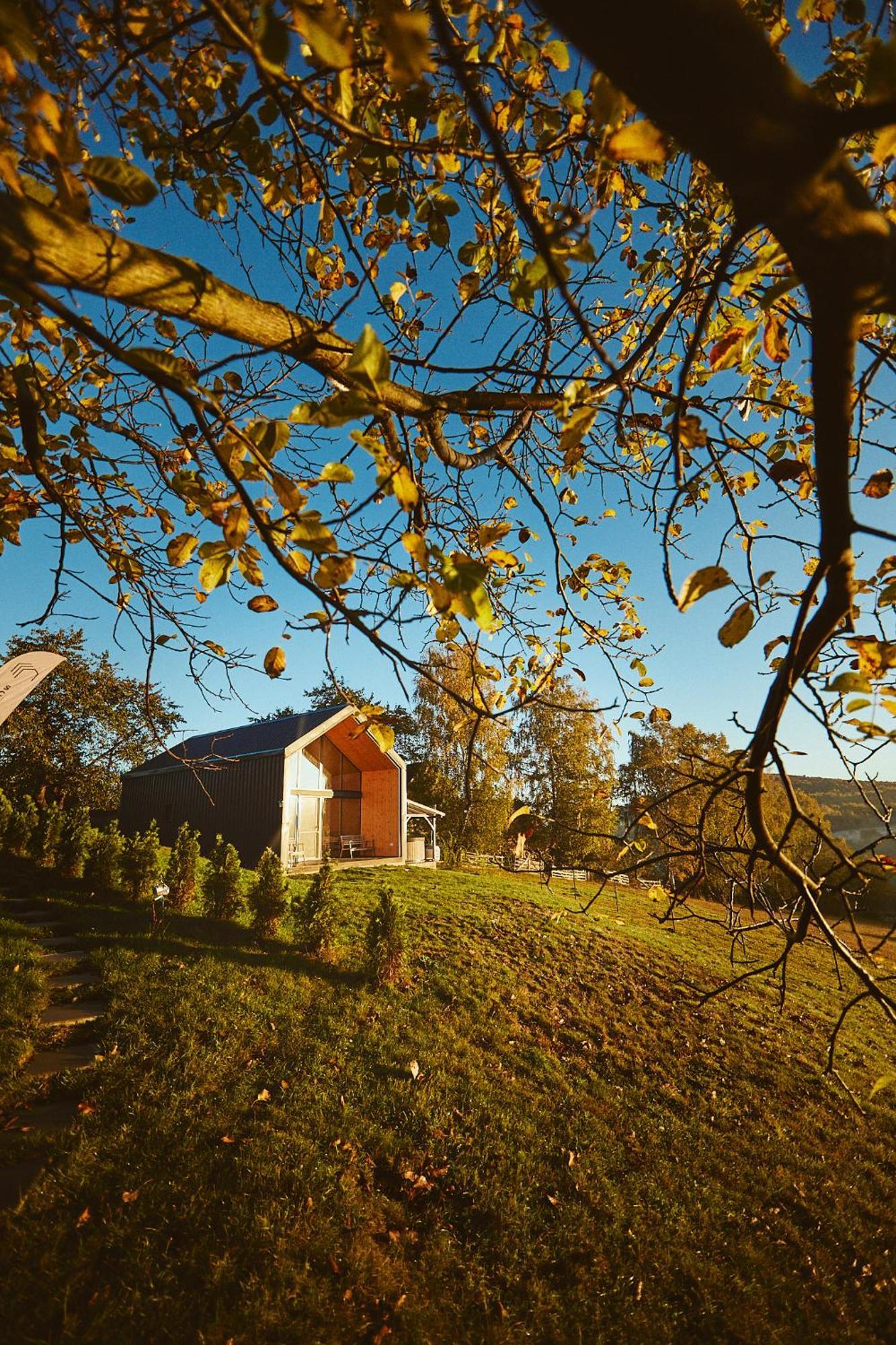 Scandinave Chalet Bran Zărneşti 외부 사진