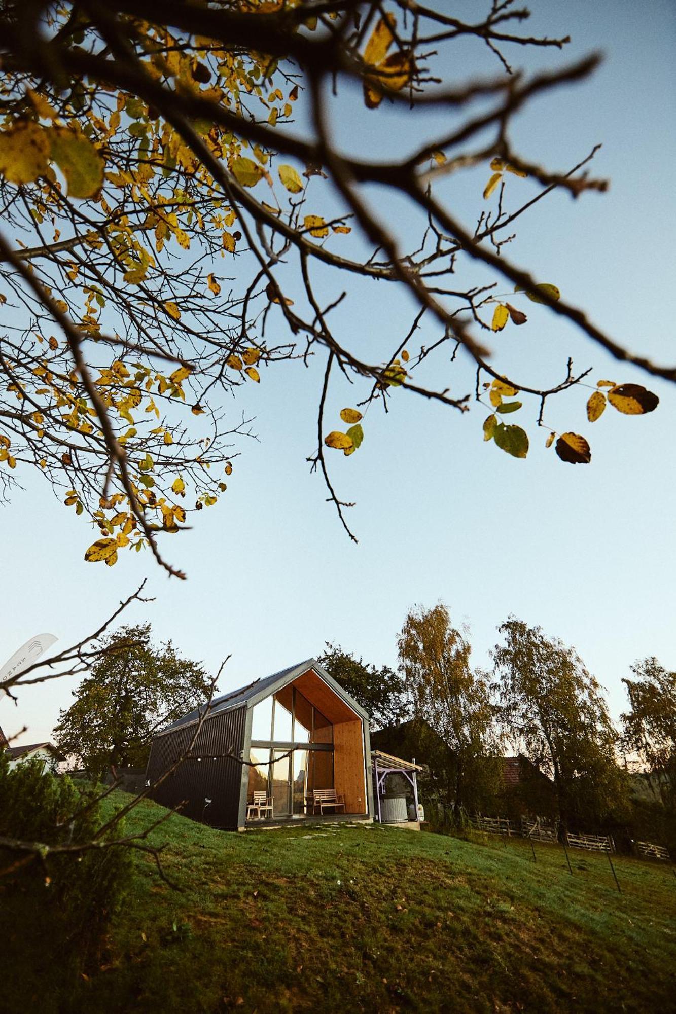 Scandinave Chalet Bran Zărneşti 외부 사진